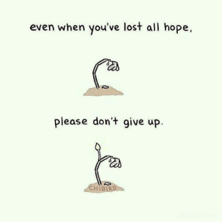even-when-youve-lost-all-hope-please-dont-give-up-21700833.png
